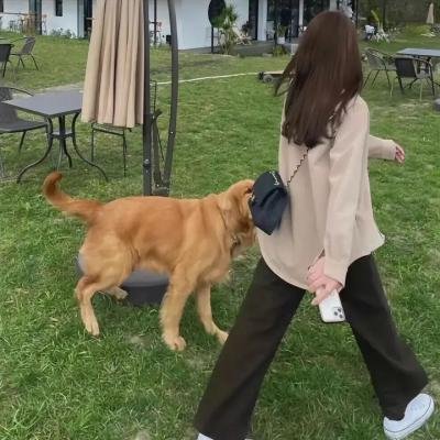 当我死后